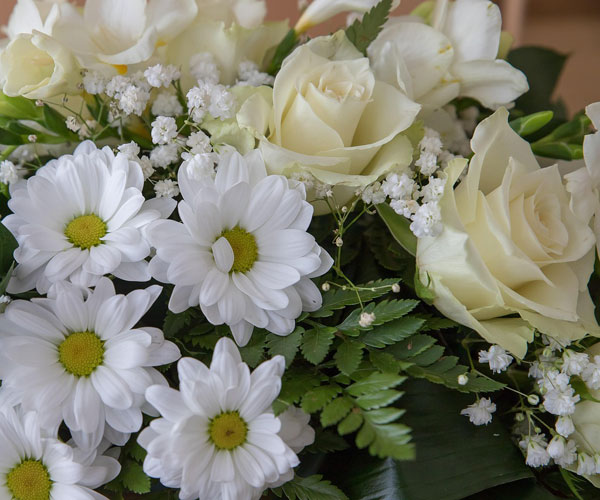 Humanist Funerals - Fermoy Funerals